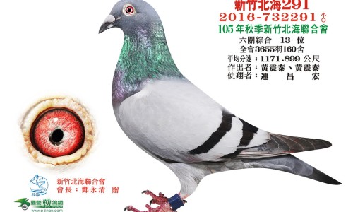 西洋参的功效和作用是什么-西洋参的功效跟禁忌网- 西洋参液的功效与作用知识,分享西洋参粉的功效与作用