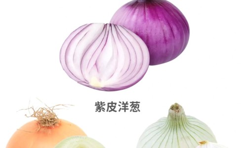 西洋参的功效跟禁忌网- 西洋参液的功效与作用知识,分享西洋参粉的功效与作用